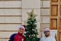 Un albero nel Cuore di Canosa