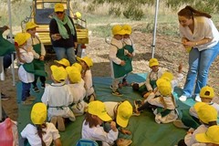 Estate 2024:Le “agricolonie” che integrano l’offerta di servizi educativi per l’infanzia