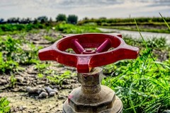 Loconia: Irrigazione campi, il quantitativo giornaliero passerà da 200 lt a 400 lt giornalieri