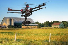 Agricoltura 4.0: droni e robot tra gli ulivi