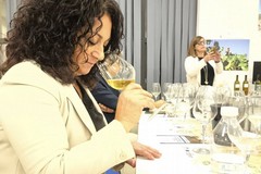 Il "terrizuolo" vitigno storico di Canosa  protagonista alla Fiera della Biodiversità