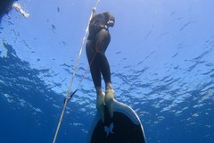 Al via il 1° Trofeo di apnea “ISOLE TREMITI”