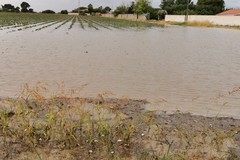 Maltempo: allerta arancione in Puglia