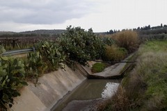 Canosa:  Interventi di 80 mila euro  per il ripristino deflusso delle acque del Canale “Fosso Piana delle Murge"