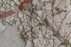 Al Museo dei Vescovi: conferenza divulgativa “Canosa a colori: viaggio tra le pitture delle domus romane"