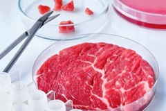 La carne sintetica inquina di più