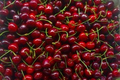 Puglia: Produzione dimezzata delle ciliegie