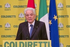 Al via la campagna digitale per l'etichetta trasparente sui cibi