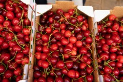 Crollo dei prezzi delle ciliegie ‘Ferrovia’