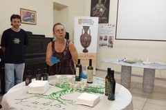 Canosa: Tra degustazioni di olio EVO e visite archeologiche