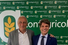 Antonello Bruno, alla presidenza di Confagricoltura Puglia