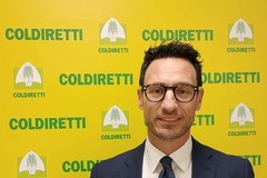 E’ Luca Celestino il condirettore di Coldiretti Bari e BAT