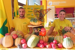 Puglia: E' “Zucca Day”  nei mercati di Campagna Amica
