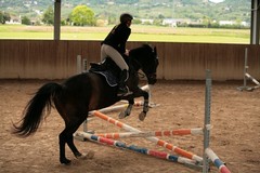 Canosa: Attività di equitazione per minori affetti dal disturbo dello spettro autistico con metodo ABA