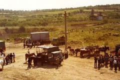 Canosa: Torna  l’Antica Fiera del Bestiame
