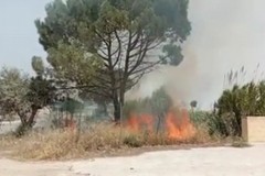 Incendi: La Puglia brucia da nord a sud