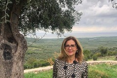 Olio EVO: i prezzi  in caduta libera