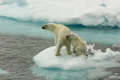 La crisi climatica mette a repentaglio anche le società umane