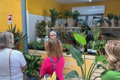 Vitamina Verde: i benefici di piante e fiori per gli edifici e per la nostra salute”