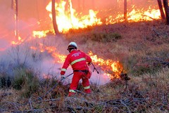 Al via la bonifica dei cigli stradali per evitare incendi
