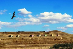Promuovere e valorizzare la diversità della Puglia rurale