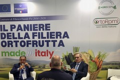 Presentati i risultati del Contratto di Filiera “Paniere della filiera ortofrutta made in Italy”