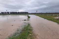 Maltempo: bollettino di guerra nelle campagne causato da nubifragi e trombe d‘aria