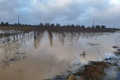 Ondata di maltempo con gravi danni nelle campagne