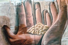 Mani di grano di PISKV