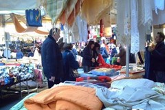 Canosa: Anticipo del mercato “Disattesa la legge"
