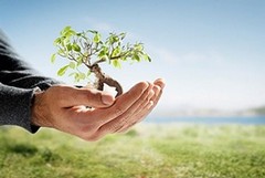 La Puglia avvia l’educazione in natura
