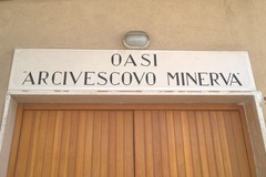Covid: L'OASI Minerva ringrazia gli operatori sanitari