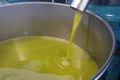 L’olio extravergine oliva italiano in calo del 40/50%