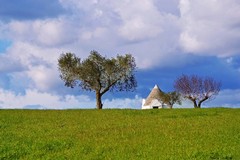 La Puglia protagonista per stile di vita e sviluppo sostenibile