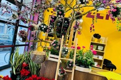 San Valentino: l’albero degli innamorati per ‘selfie lovers’