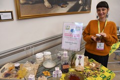 Donne per le Donne, l’accoglienza che sfida la violenza