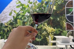 Contrazione dei volumi di vendita dei vini pugliesi