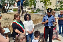 Forestare le città è un atto di responsabilità verso le future generazioni