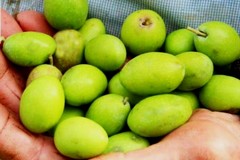 Contest fotografico “Scatti d’Olio” : Ultimi giormi per partecipare gratuitamente