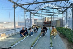 Le specialità coltivate dagli studenti di agraria e alberghieri sbarcano nei mercati contadini