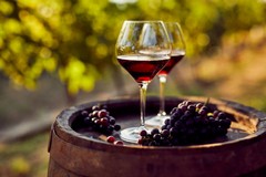 Un aumento del 25% delle giacenze di vino DOP nelle cantine pugliesi