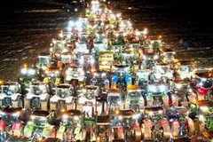 Per la prima volta a Torremaggiore arriva l’Agrialbero