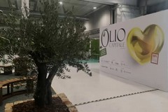 La Puglia alla 17esima Edizione di Olio Capitale a Trieste