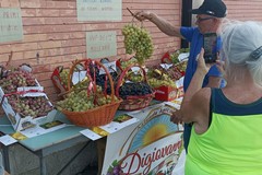 Uva e fichi d’India, 'separati in casa'  alla festa della  Stazioncina di Canne della Battaglia