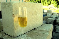 Il Terrizuolo da Conegliano Veneto a Canosa di Puglia