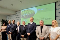 Rilancio dei frantoi come cuore pulsante della filiera olivicola