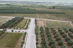 Canosa: Avviate procedure per l’insediamento di nuove attività nella Zona D2