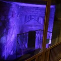 Facciamo Luce sul Tumore al Pancreas