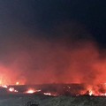 La Regione Puglia ha ufficialmente dichiarato lo stato di crisi e di emergenza per incendi boschivi