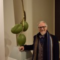 Le “Olive” di Giuseppe Carta